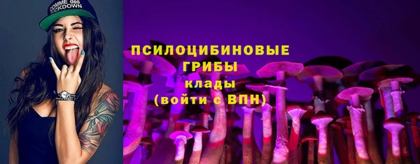 кристаллы Горняк