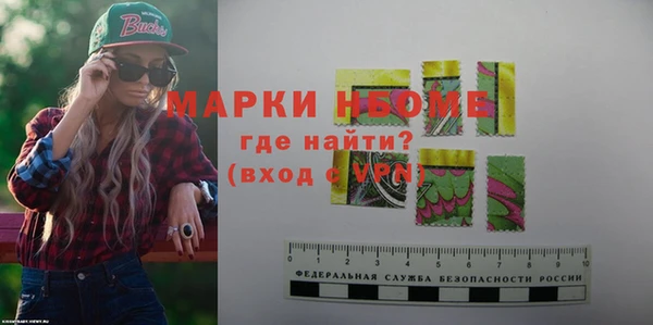ПСИЛОЦИБИНОВЫЕ ГРИБЫ Горно-Алтайск