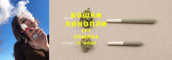 ПСИЛОЦИБИНОВЫЕ ГРИБЫ Горно-Алтайск