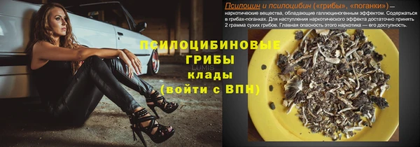ПСИЛОЦИБИНОВЫЕ ГРИБЫ Горно-Алтайск