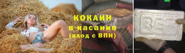 ПСИЛОЦИБИНОВЫЕ ГРИБЫ Горно-Алтайск