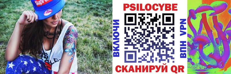 как найти закладки  Енисейск  Псилоцибиновые грибы Psilocybe 